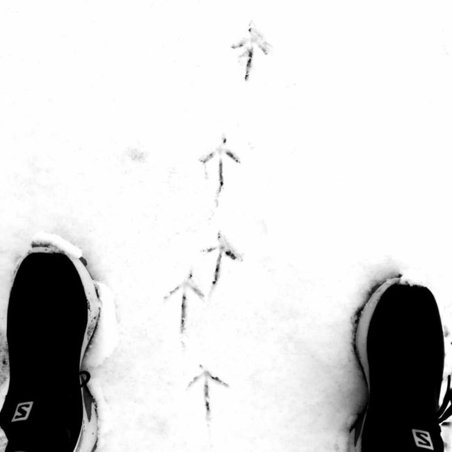 137064439_5159394880739073_6537634273164940326_o