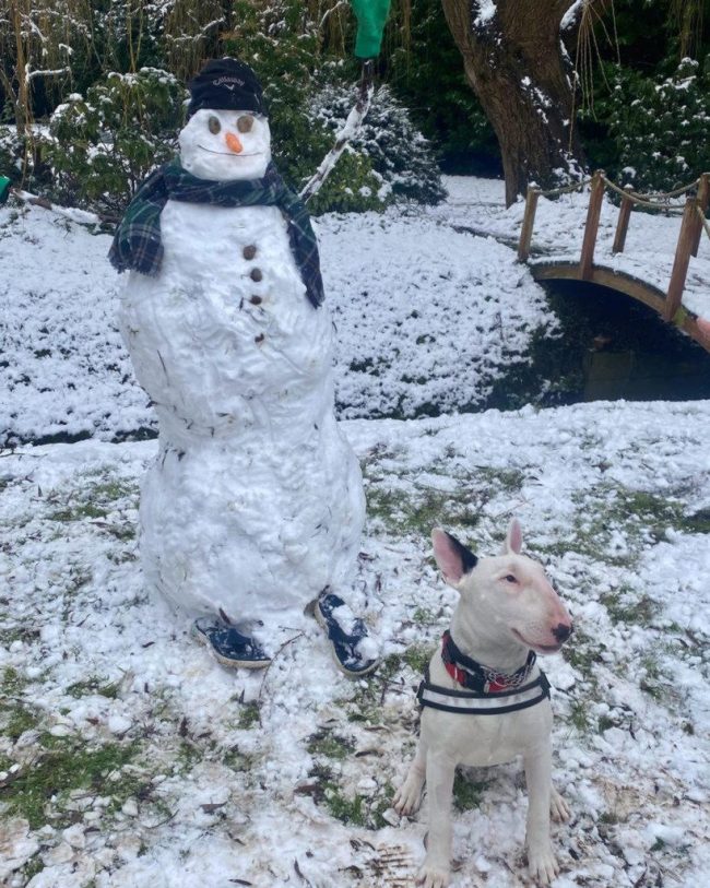 142075092_5232763846735509_4619423188591797557_o